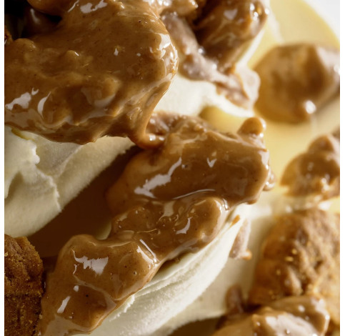 Наповнювач для морозива Печиво спекулос  Joycream Speculoos ТМ Joygelato 5 кг
